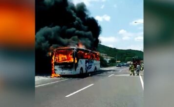 Türkiye’de yolcu otobüs faciası: 2’si çocuk 5 ölü, 15 yaralı