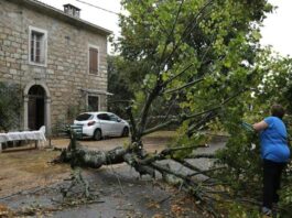 Fransa’da Şiddetli Fırtına: En Az 2 Kişi Hayatını Kaybetti, Binlerce Ev Elektriksiz Kaldı