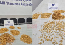 Bulgaristan Gümrüğü 700 Bin Euro Değerinde 5 Kilo Altına El Koydu Bulgaristan Gümrüğü 700 Bin Euro Değerinde 5 Kilo Altına El Koydu