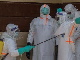 Fransa’da İlk Ebola Vakası Tespit Edildi