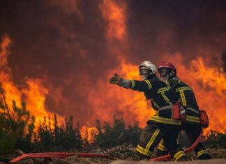 Fransa’da Orman Yangını Çıkaran 32 Şüpheli Gözaltına Alındı